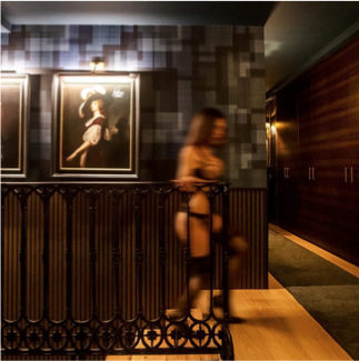 Maison close avec services d'escorte, Felina, à Genève