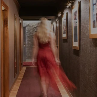 Maison close de luxe en Espagne, Felina Madrid