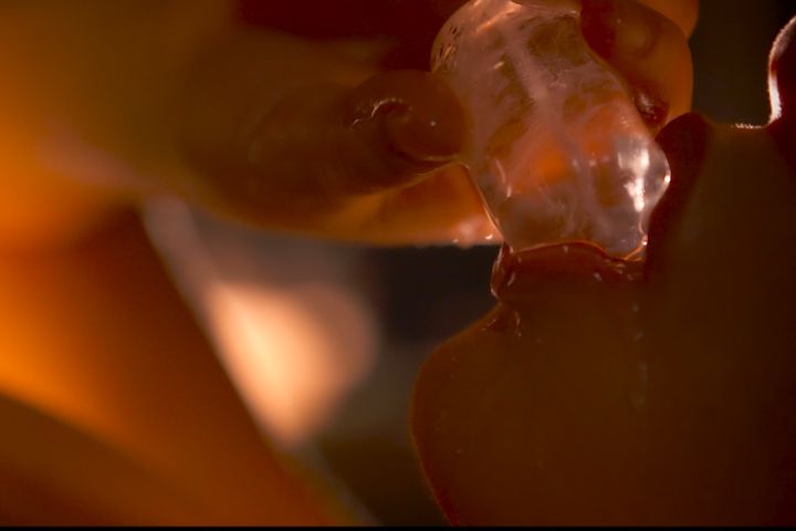 Service d’escorts pour fellation naturelle